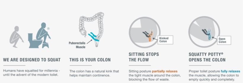 Squatty Potty Be Kind Transparent Background - Squat Toilet, transparent png