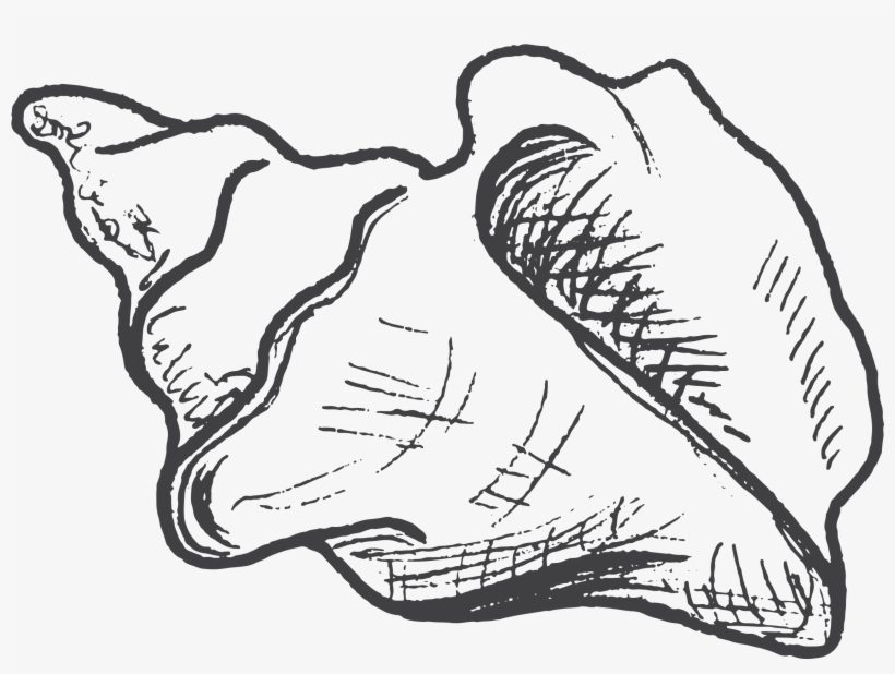 “each Trip Is A One Of A Kind And Yesterdays Excursion - Sketch, transparent png