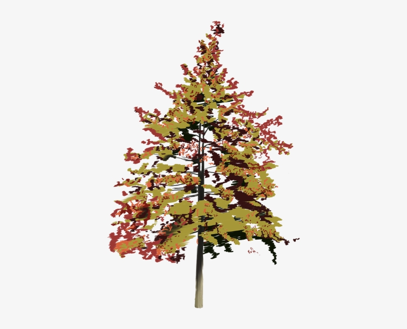 These Images Were Part Of A Project Done For The Delaware - Christmas Tree, transparent png
