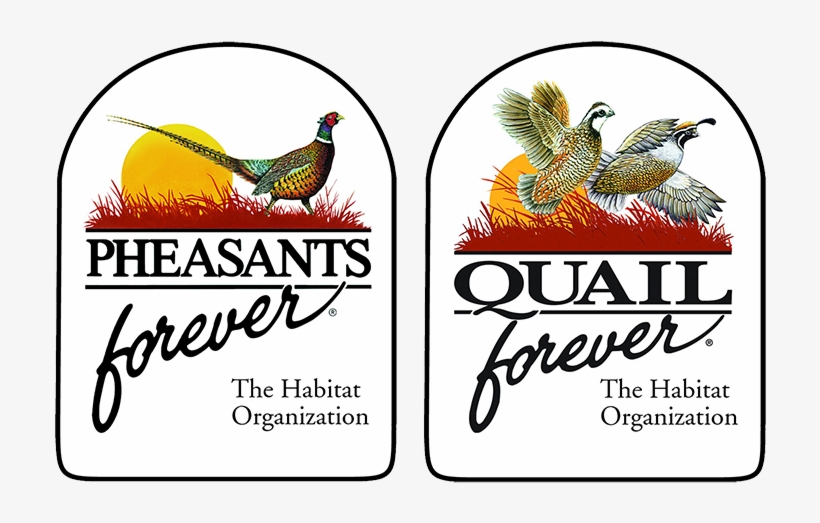 About Us - Pheasants Forever Quail Forever, transparent png