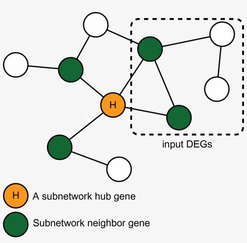 This Option Allows To Use Differentially Expressed - Diagram, transparent png