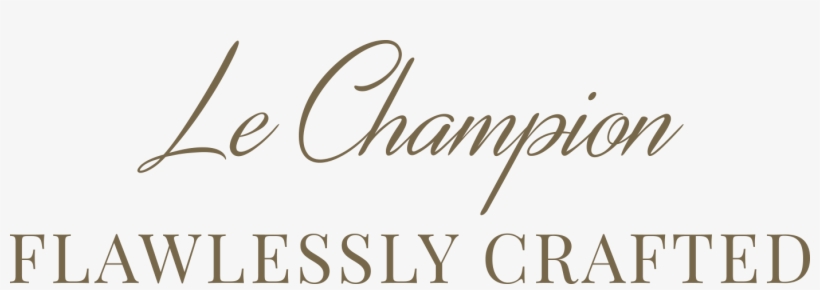 Discover - Calligraphy, transparent png