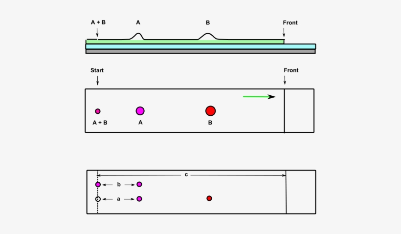 Partition Chrom Layer - Diagram, transparent png