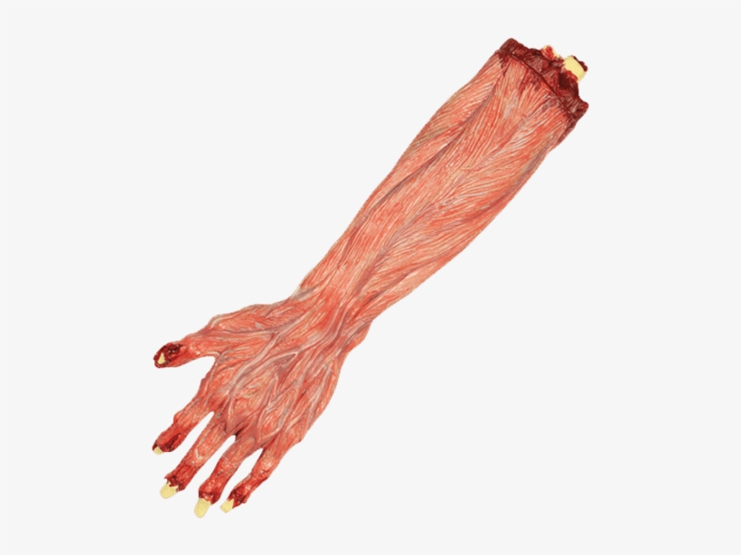 Zoom - Barefoot, transparent png