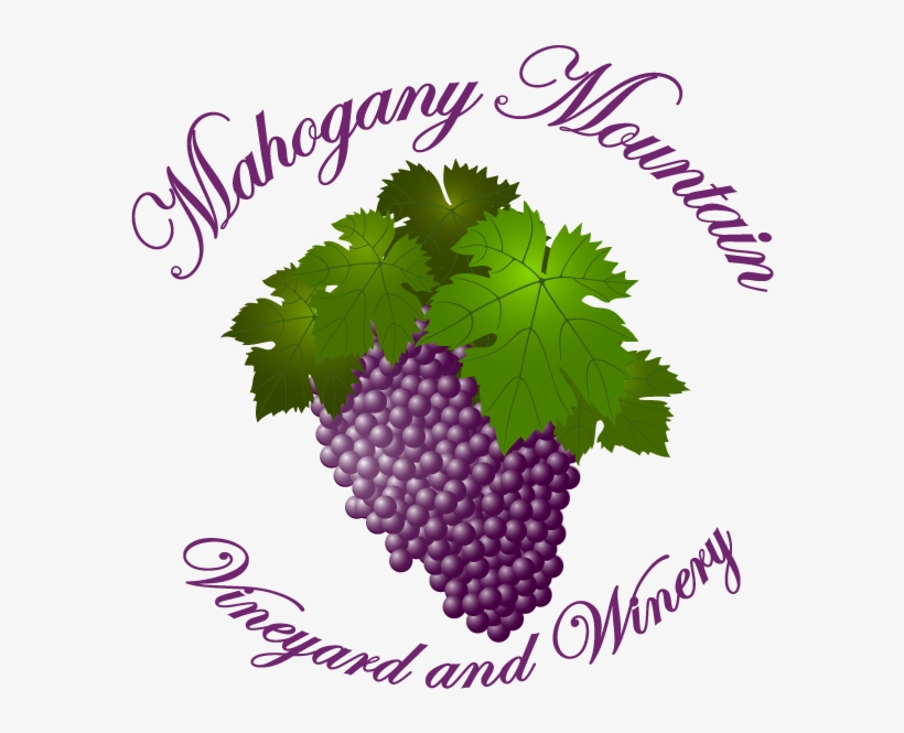 Mahogany Mountain Vineyard And Winery - Seedless Fruit, transparent png