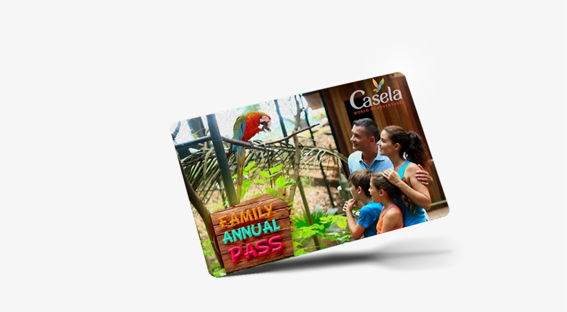 Annual Family Pass - Flyer, transparent png