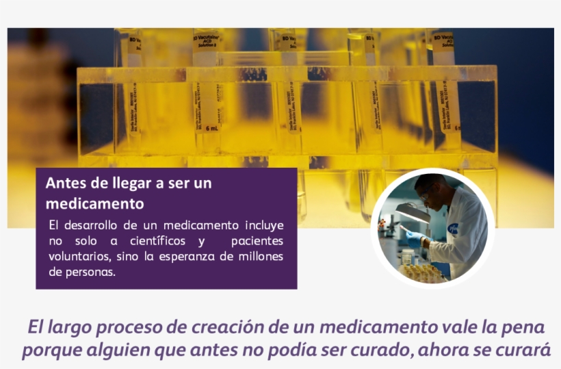 Antes De Llegar A Ser Un Medicamento - Circle, transparent png