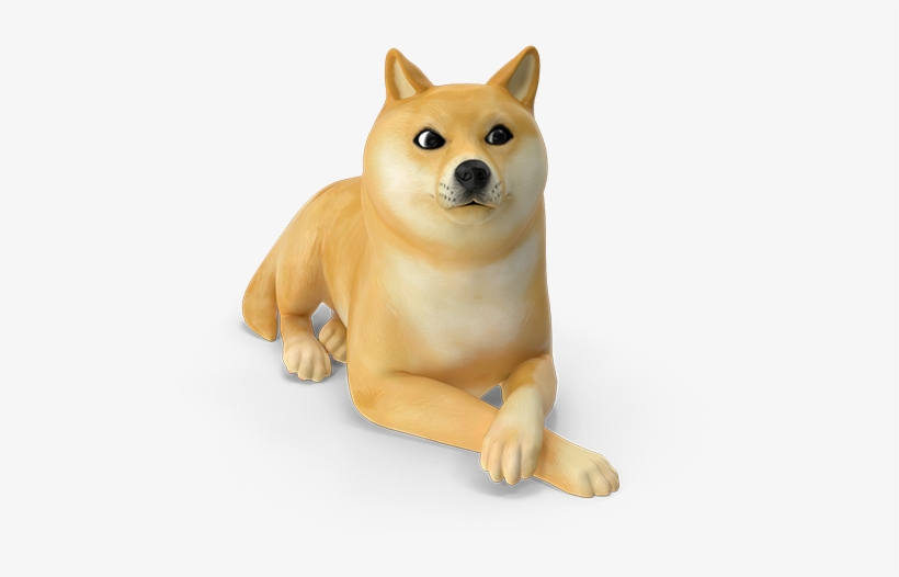 The World Through Animal - Shiba Inu, transparent png