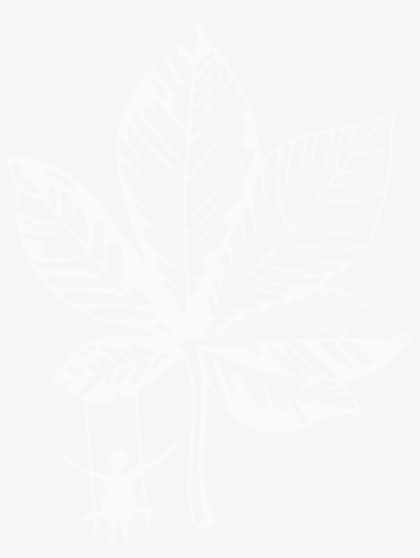 Welcome To Conkers Life - Johns Hopkins Logo White, transparent png