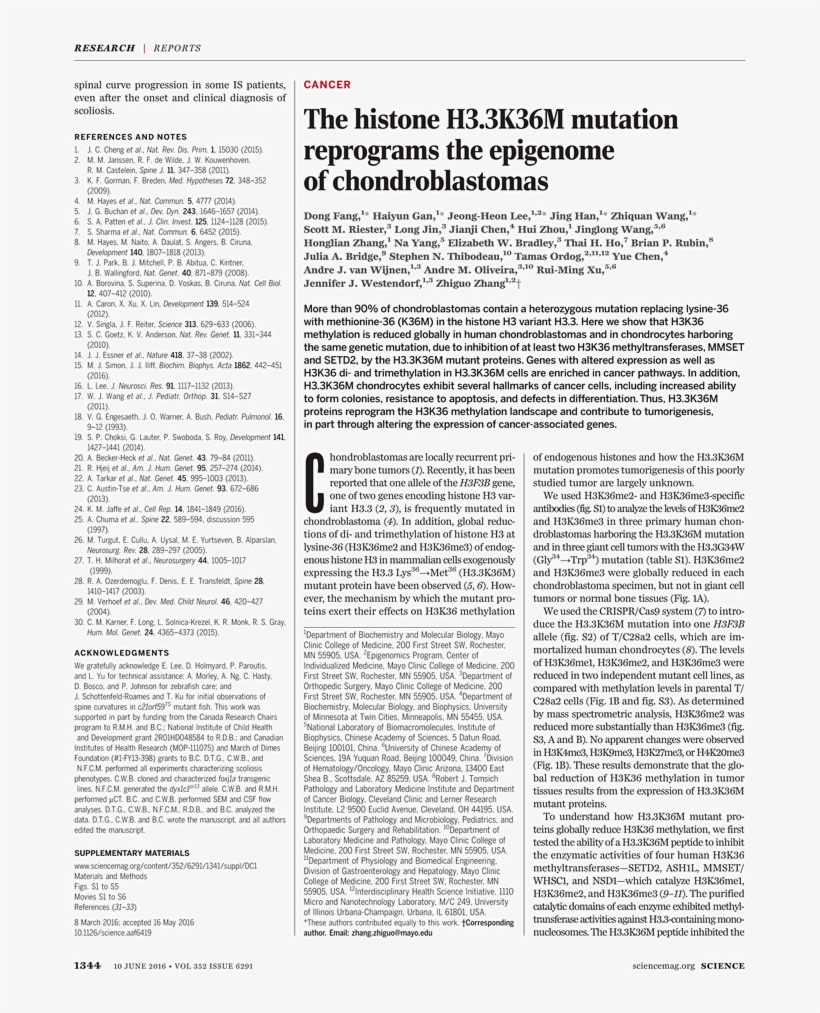 Ferderal Minimum Wage Poster, transparent png