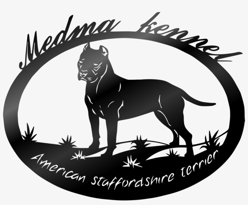 Medma Kennel - Dogo Argentino, transparent png
