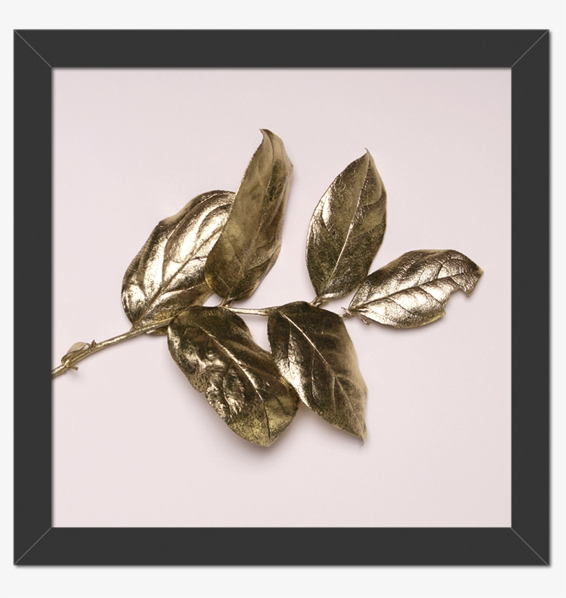 Quadro Folhas Douradas - Color, transparent png
