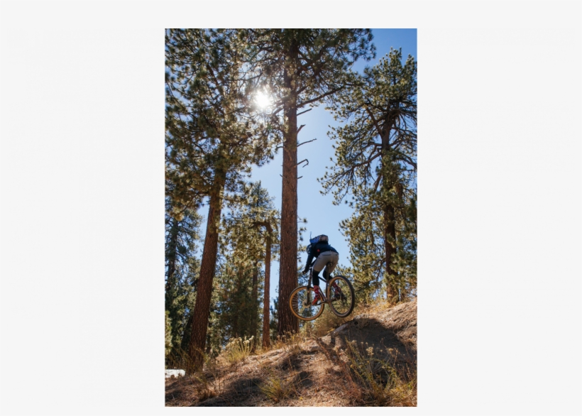 Baby Got Back - Downhill Mountain Biking, transparent png