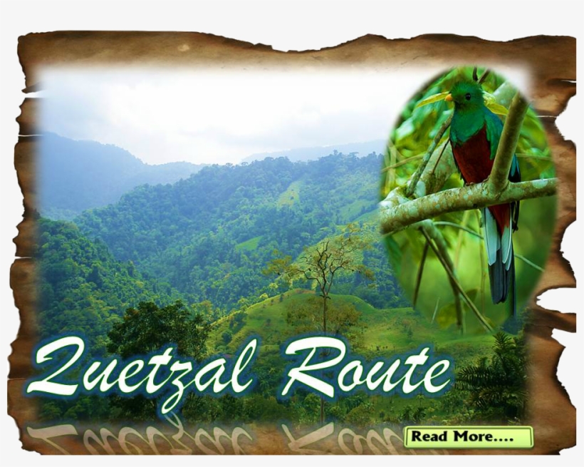 Cooprena Simbiosis Tours - Mount Scenery, transparent png