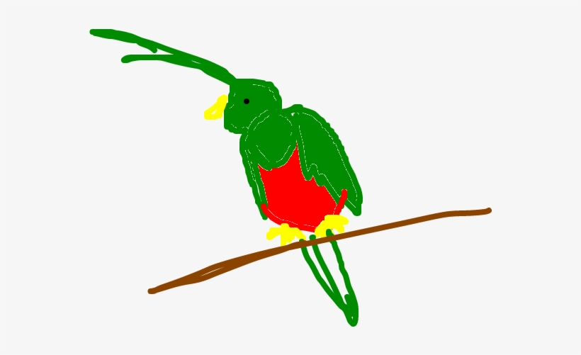 Quetzal - Illustration, transparent png