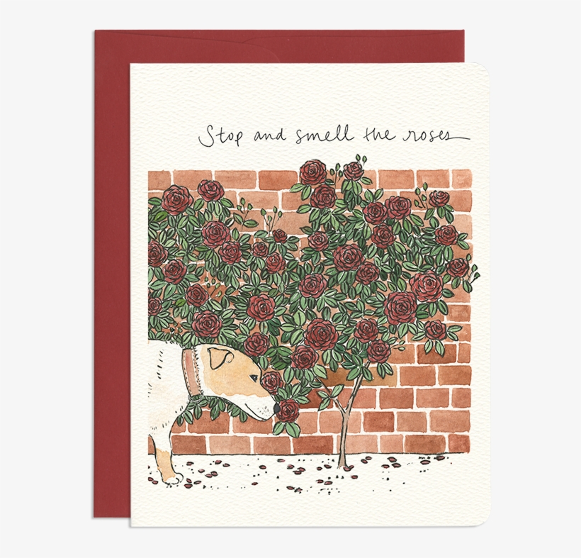 Stop And Smell The Roses - Motif, transparent png