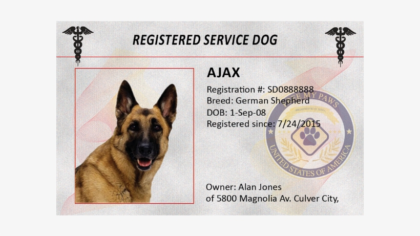 Bronze Service Dog Identification Kit - German Shepherd Puppy Png, transparent png