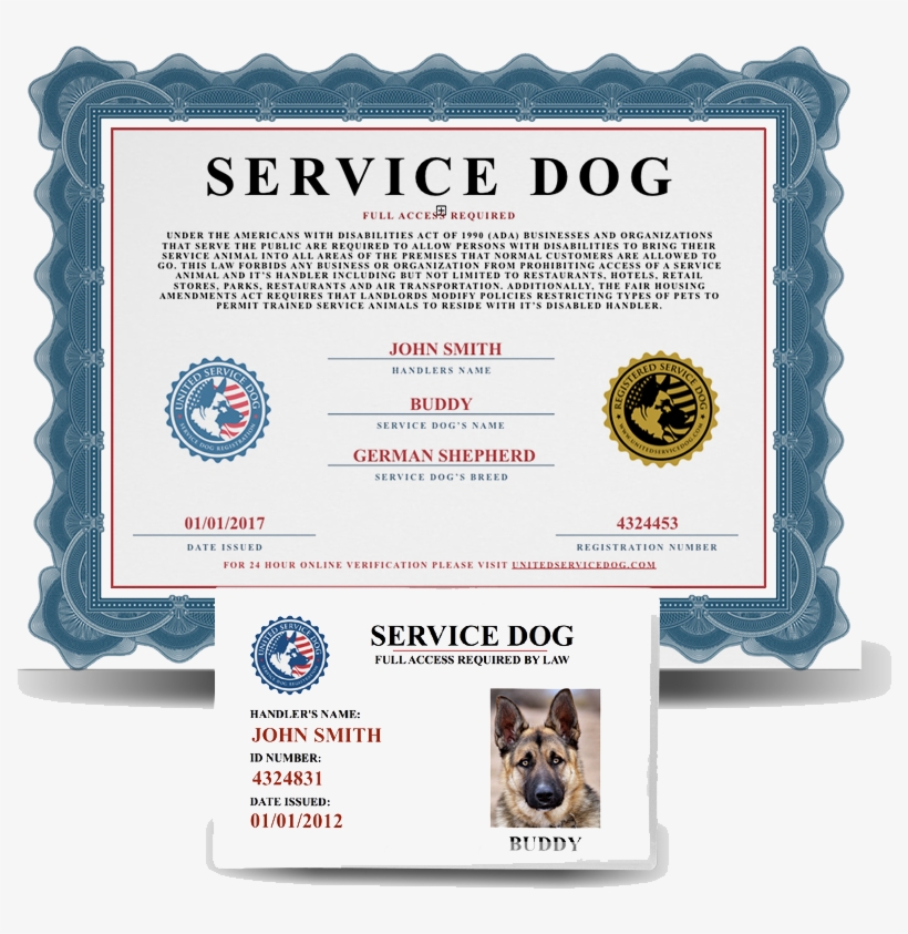 Fine Impressions Ecru Flat Cards A7 - Emotional Support Dog Free Certificate, transparent png