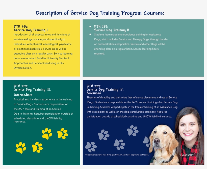 Starting On August 24, 2011, The First Class Of The - Companion Dog, transparent png