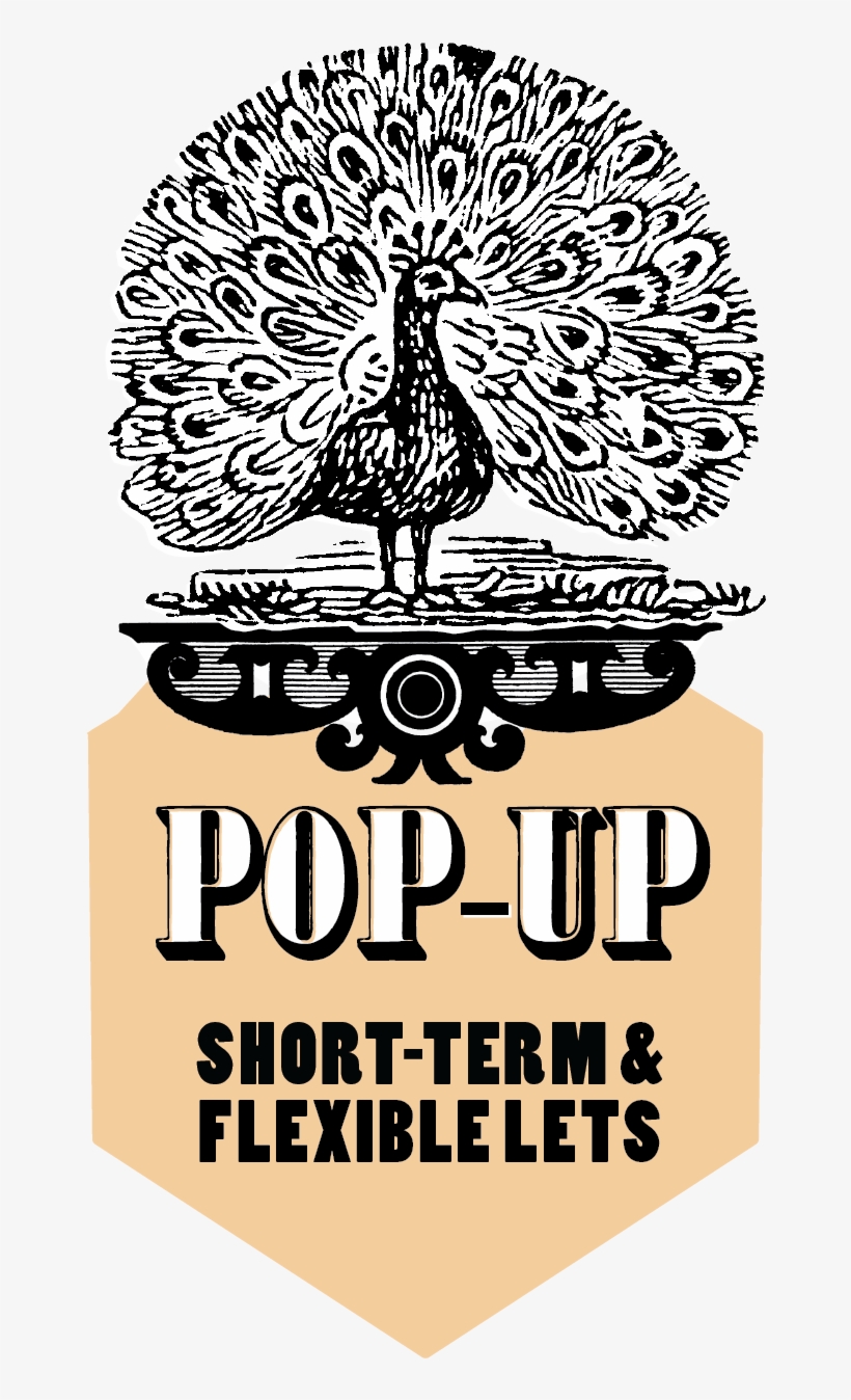 Max Popup - Design, transparent png
