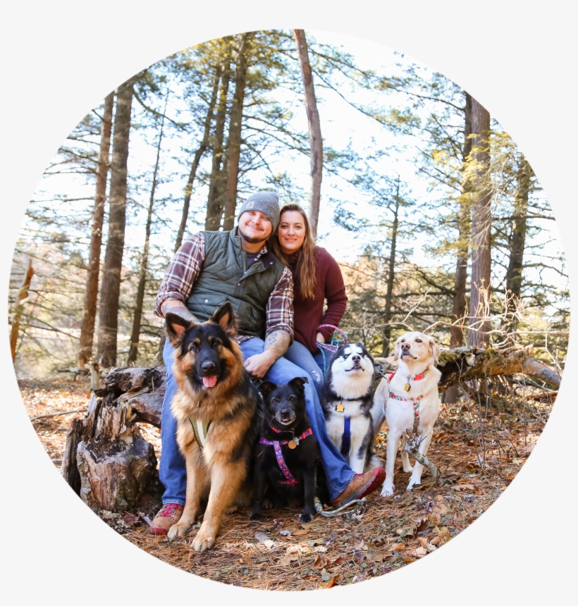 We Are Corey And Vanessa, A Couple Of High School Sweethearts - Old German Shepherd Dog, transparent png