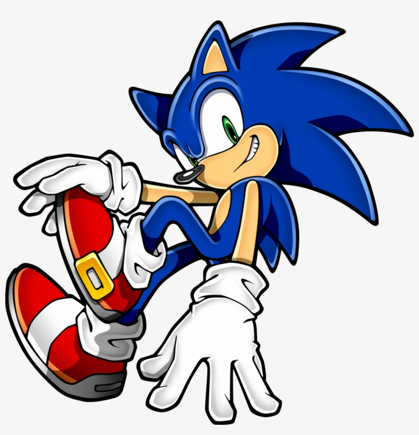Large Size Of How To Draw A Hedgehog Face Amy The Step - Sonic The Hedgehog, transparent png