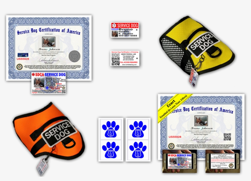 Sale Service Dog Stickers - Guitar String, transparent png