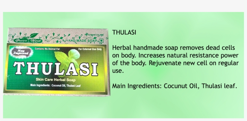 It Also Acts As An Anti Fungal And Anti Bacterial Making - Plant, transparent png
