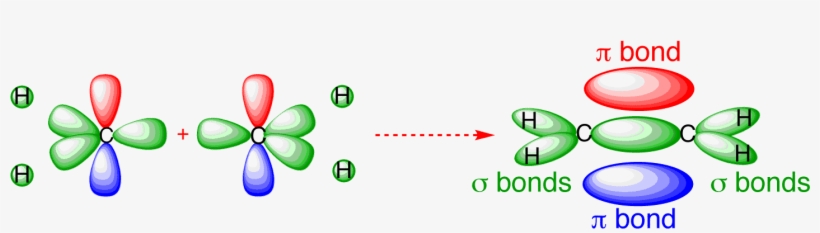 Ethylene Orbitals - Pi Bond In Ethene, transparent png