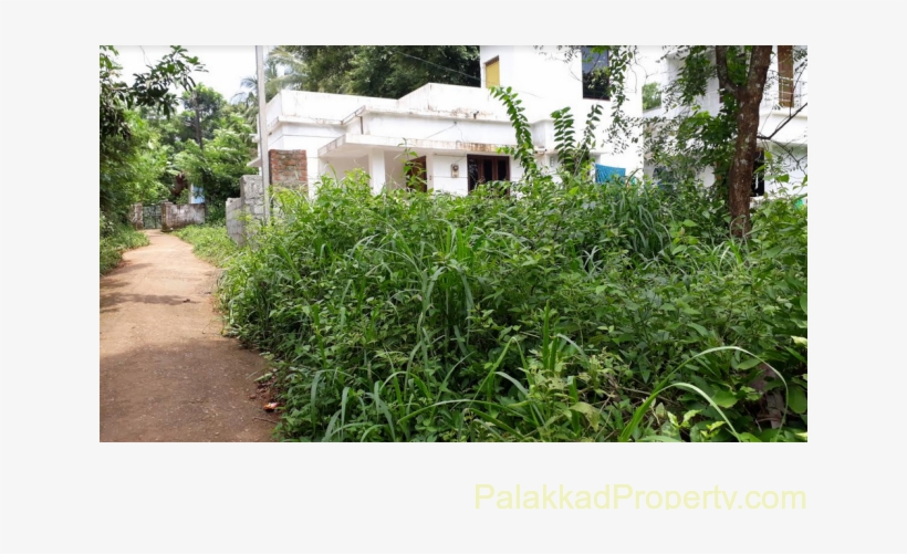 For Sale, 10cent Plot At Kallekkad - Plantation, transparent png