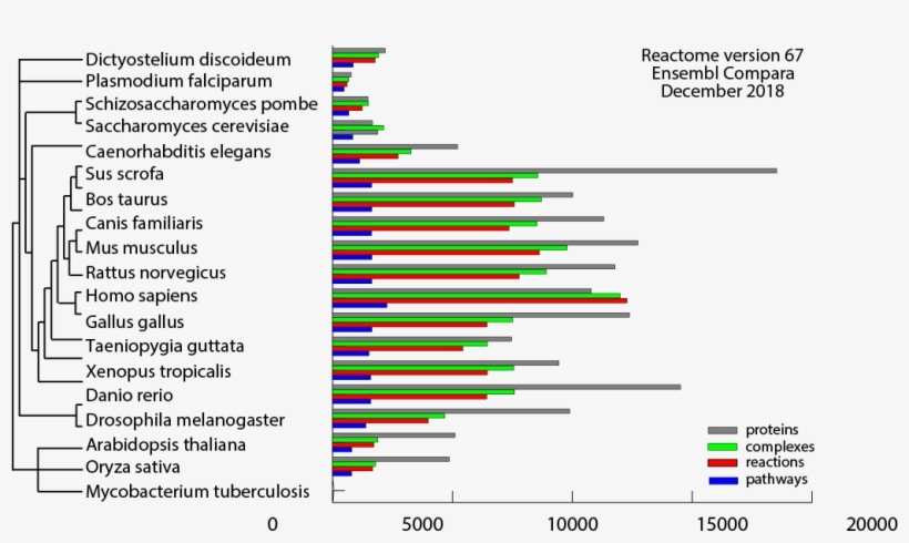 Statistics - Diagram, transparent png