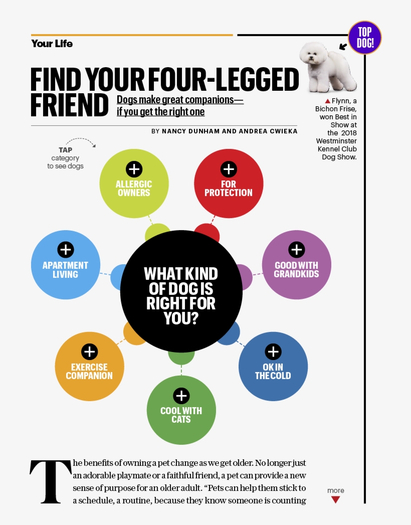 Cover - Circle, transparent png