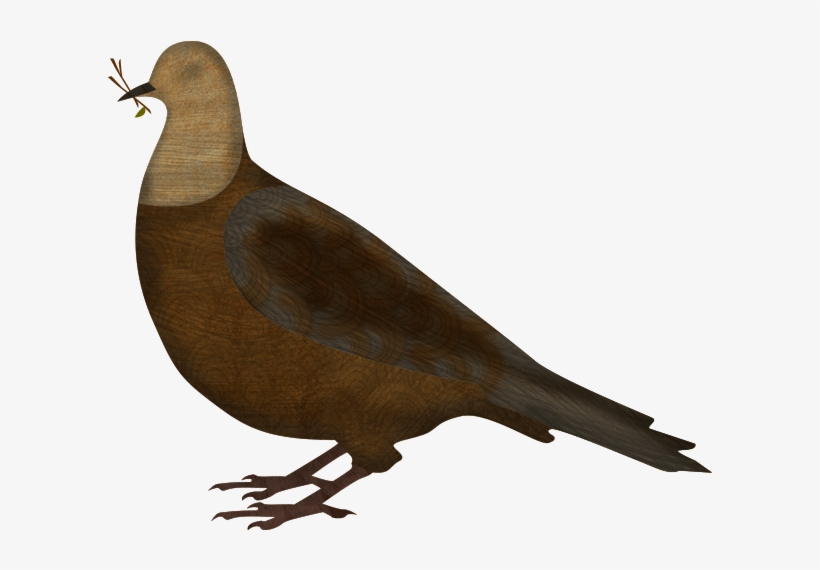 Noah Sends Out A Dove - Pigeons And Doves, transparent png