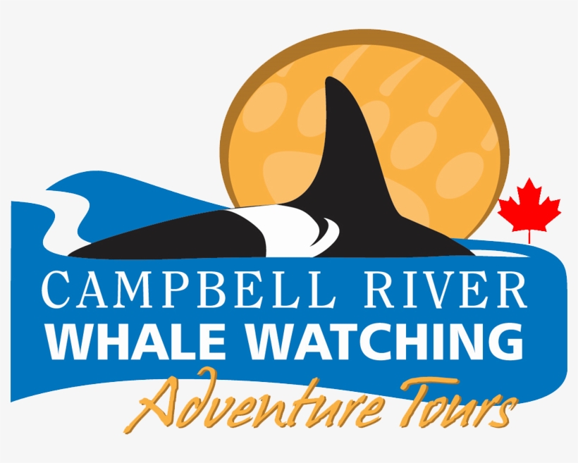 Campbell River Whale Watching And Adventure Tours, transparent png