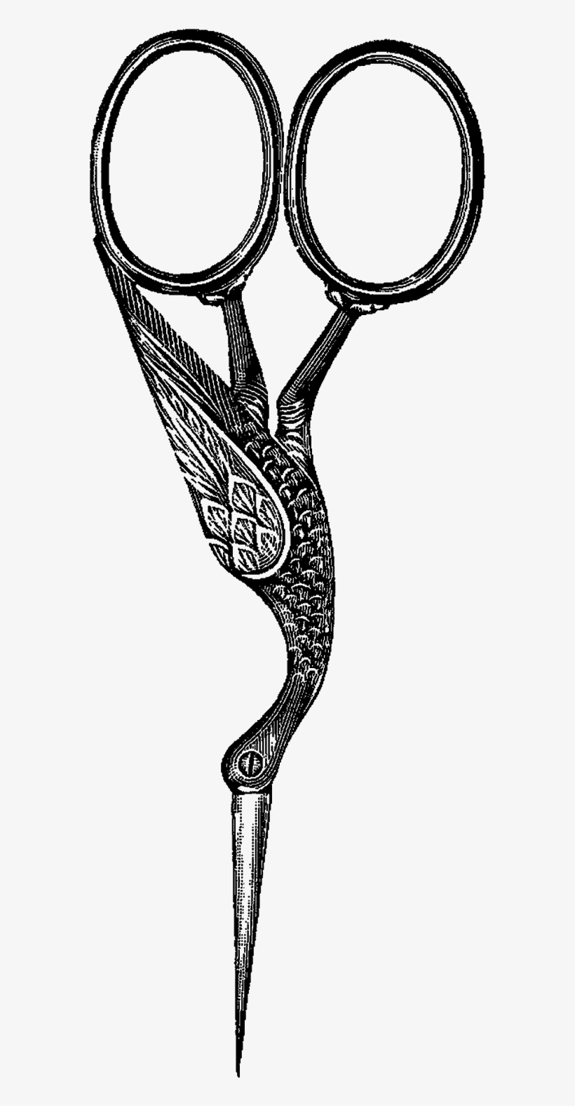 Digital Scissors Clip Art - Bird Scissors, transparent png