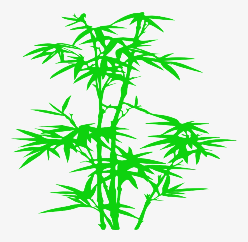 Bamboo Silhouette, transparent png