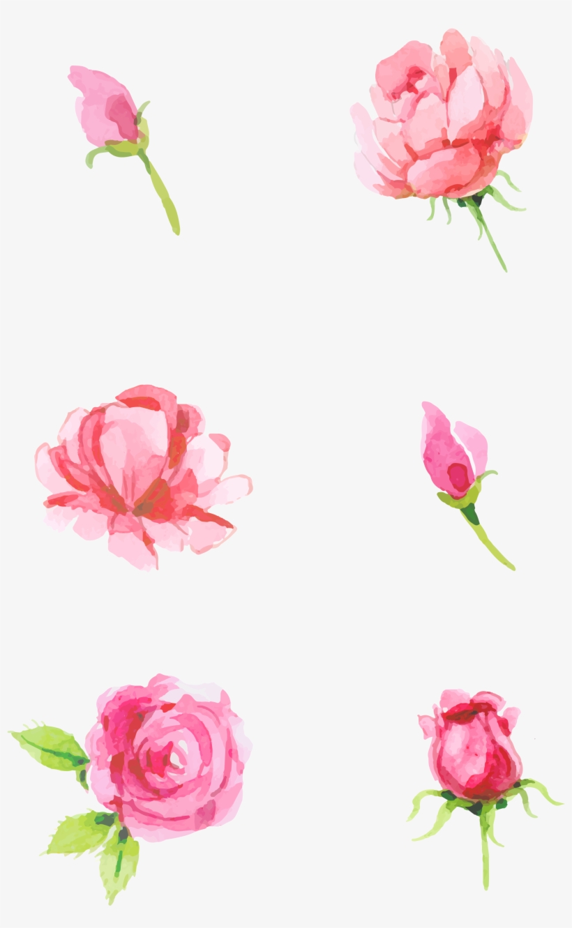 Rose Pink Element Minimalist Png And Psd - Hybrid Tea Rose, transparent png
