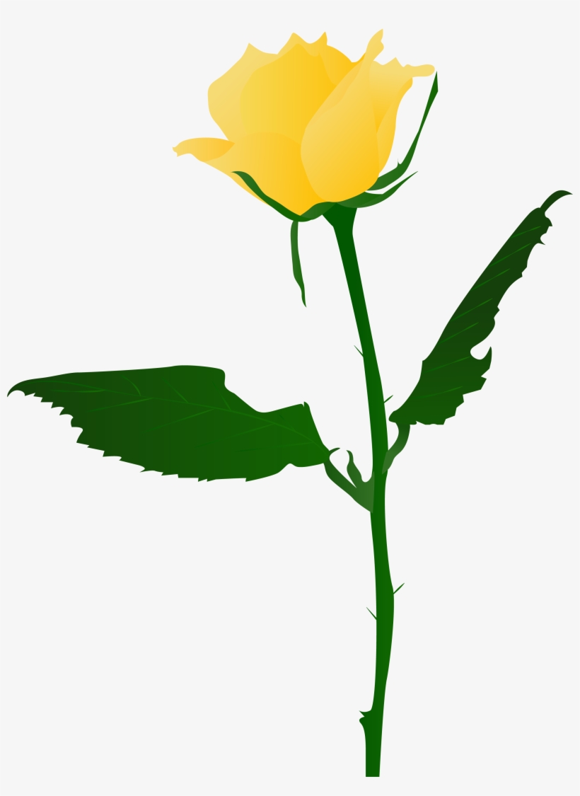Hand Drawn Flowers Illustration Yellow Rose Png And - Yellow Rose Png, transparent png