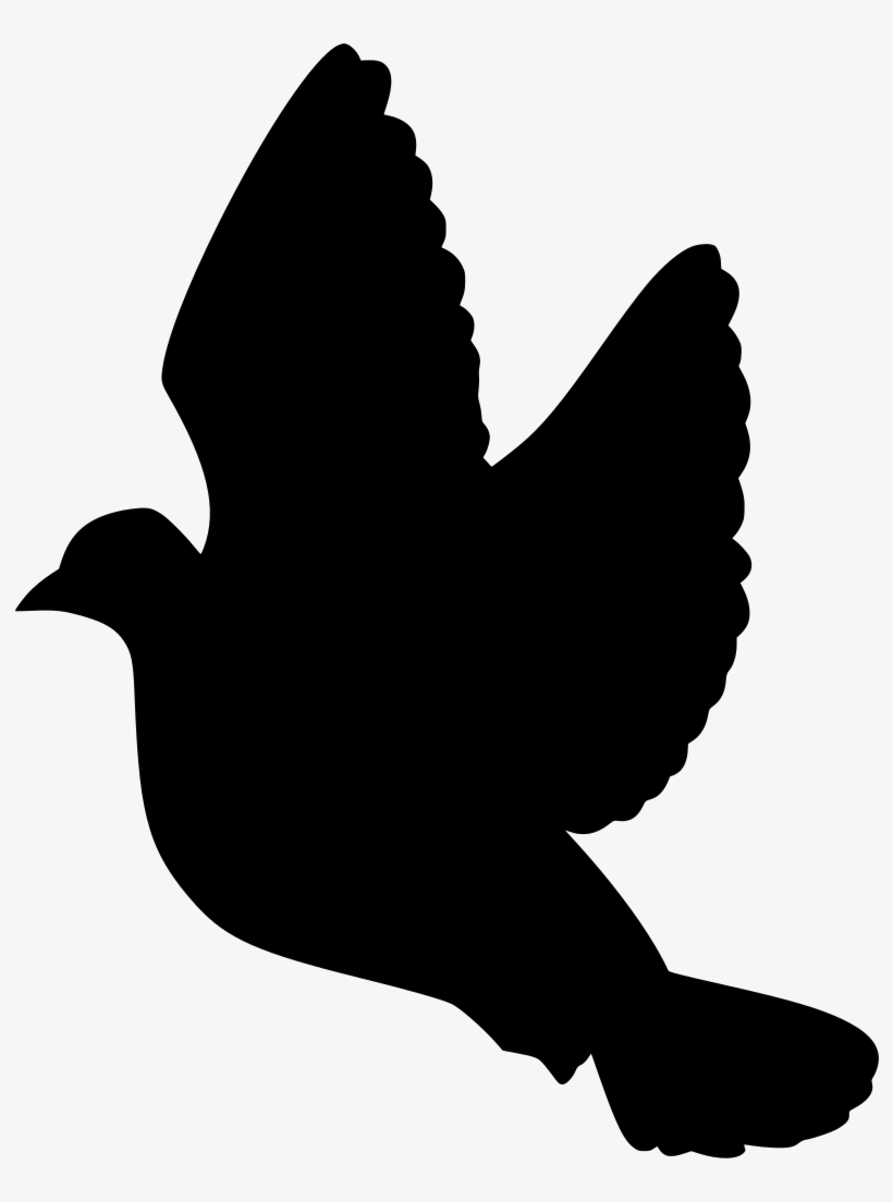 Download Png - Stock Dove, transparent png