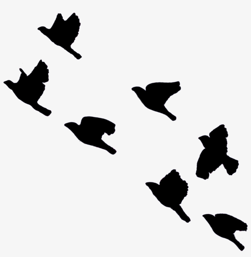 Birds Sticker - Silhouette, transparent png
