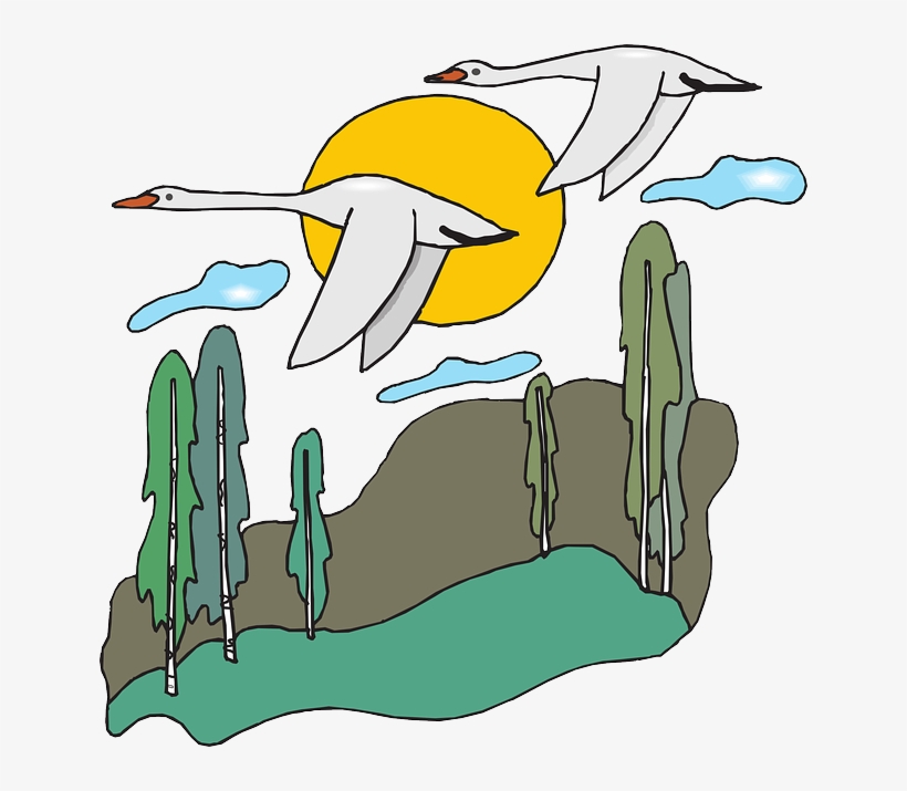 Free Nature Scene Hd Photo - Clipart Geese Flying, transparent png