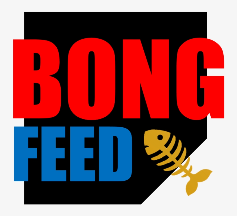 Bongfeed - Graphic Design, transparent png
