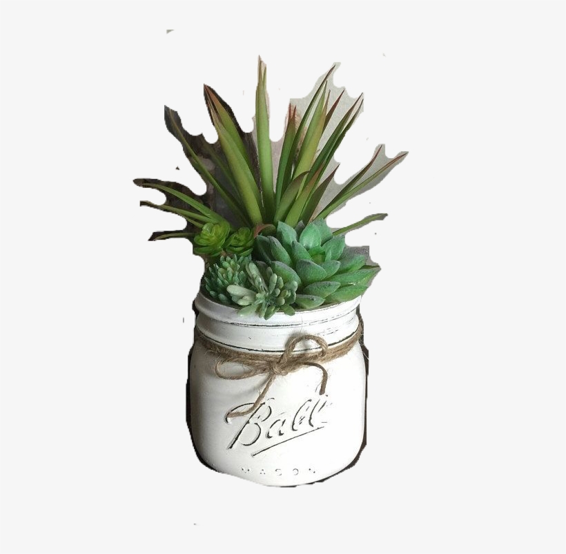 Flowerpot, transparent png