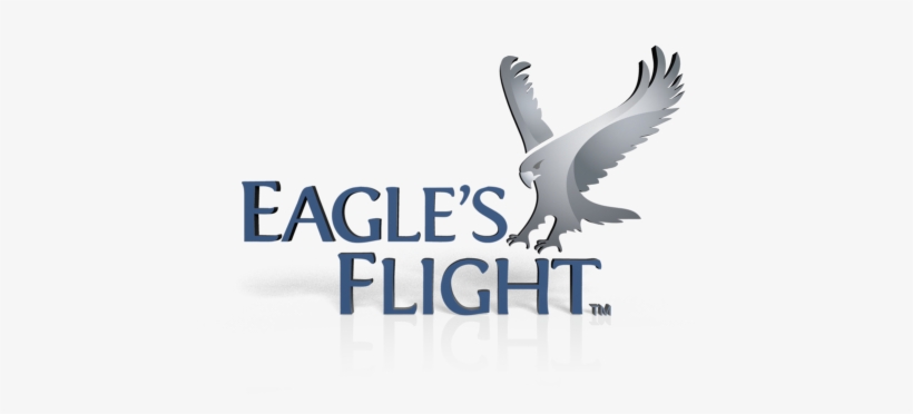Want To Become An Eagle's Flight Global Licensee - Eagles Flight, transparent png