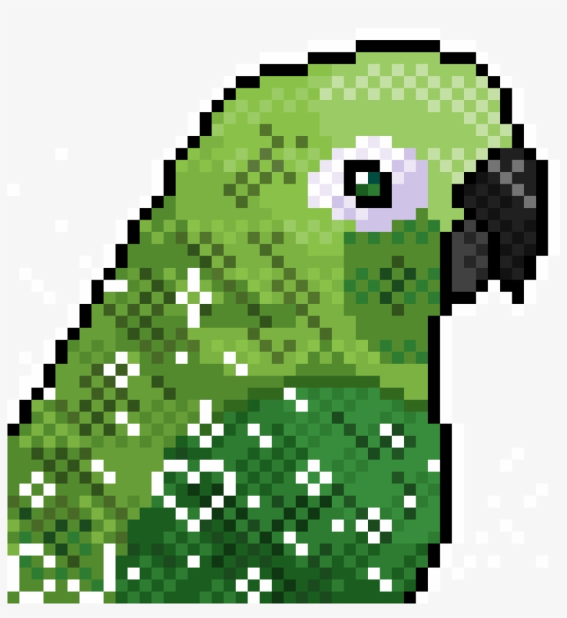 1200 X 1200 1 - Green Cheeked Conure Art Transparent, transparent png