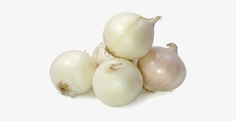 White Onion Png - Small White Onion, transparent png