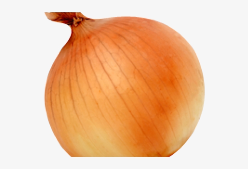 Squash, transparent png