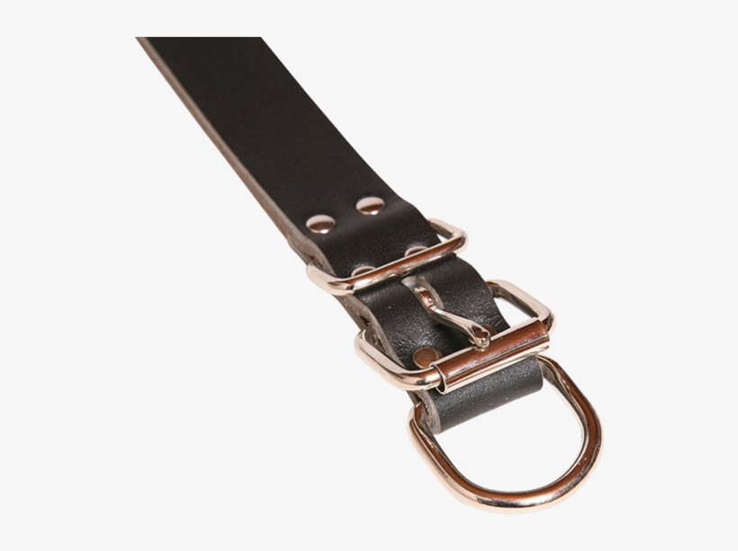 Taurus Drover Leather Dog Collar With Dee Chain 25x570mm - Strap, transparent png