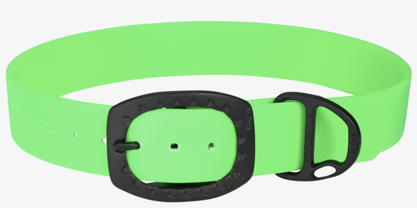 Belt, transparent png