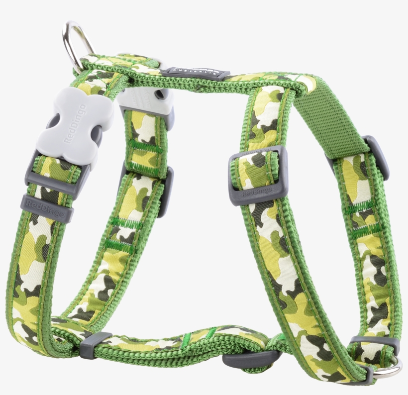 Belt, transparent png